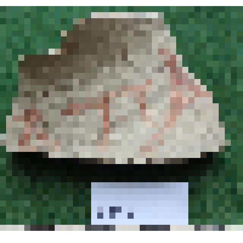 Обломок плечиков амфоры с частью надписи краской