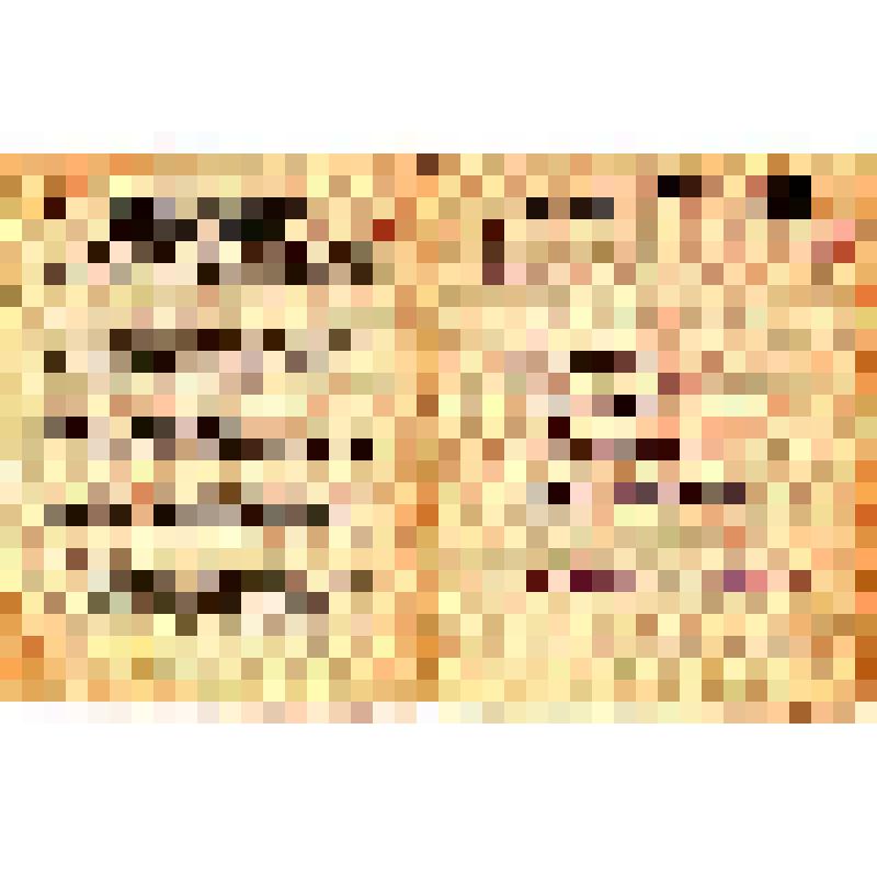 Книжка расчетная офицера Красной Армии. Выдана лейтенанту Заварзину Д. А. командиром Войсковой части. 18 февраля 1946 г