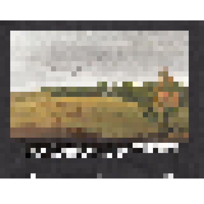 эскиз кадра к макету диафильма. Лист № 9: Осенний пейзаж с улетающими птицами
Фильм: Кто как к зиме готовится. 1989