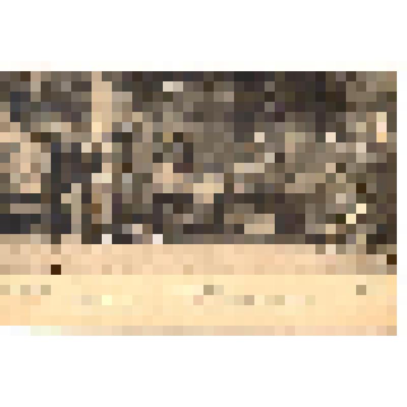 Открытка. М.Горький "На дне". МХТ. Сцена из 4 действия