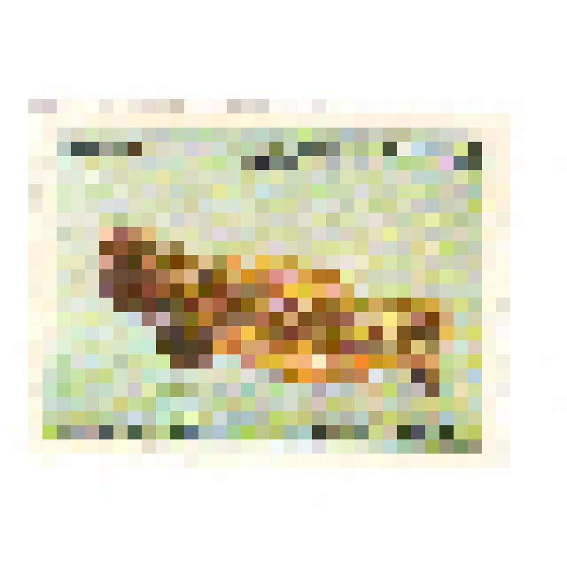 Почтовая марка