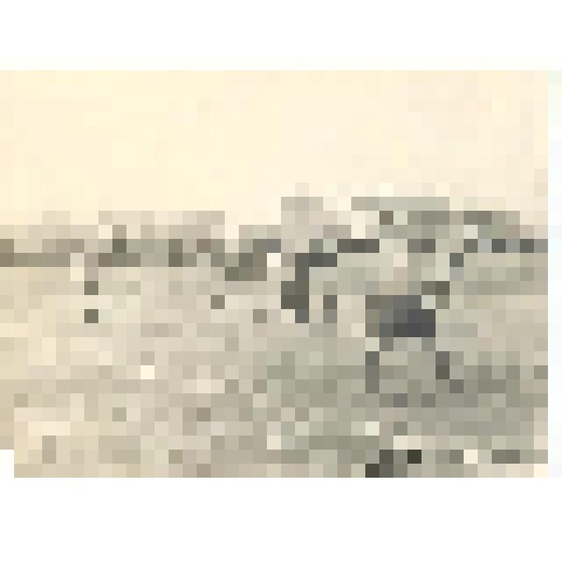 Фотография черно-белая. Городской стадион 26 апреля 1953