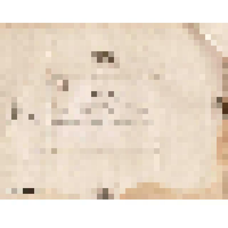 Телеграмма № 651 в г. Чердынь В. Н.Алину от Петра Алина из Нижнего, 31.07.1884 г