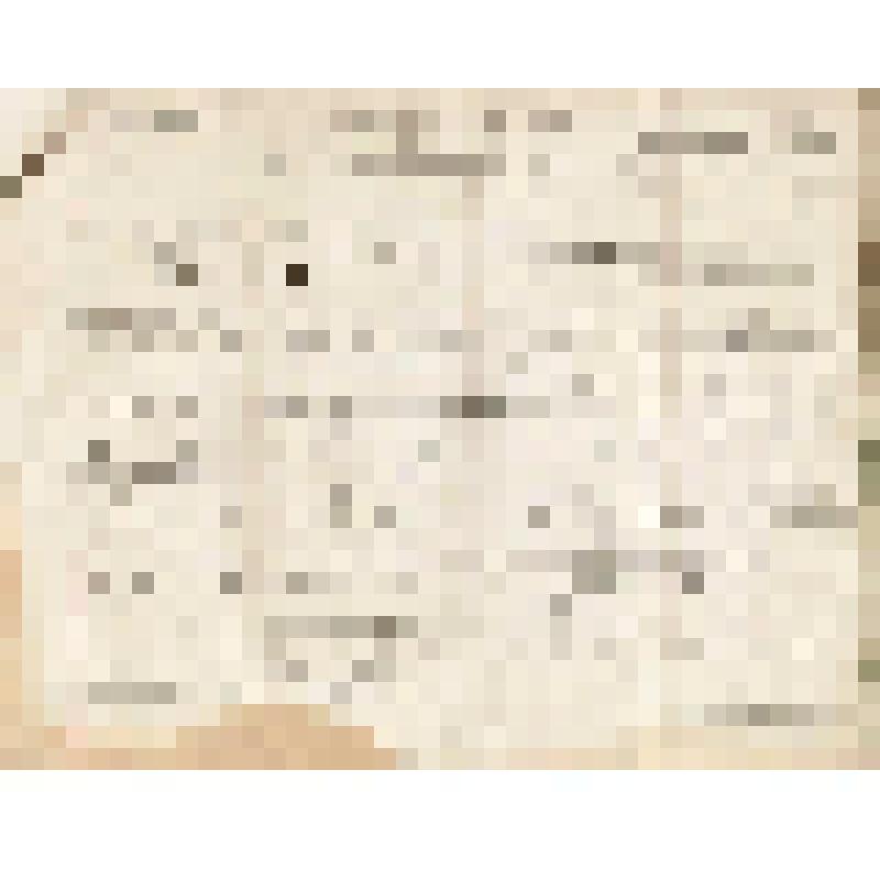 Телеграмма № 651 в г. Чердынь В. Н.Алину от Петра Алина из Нижнего, 31.07.1884 г