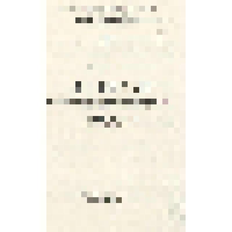 Брошюра. Дзюдо