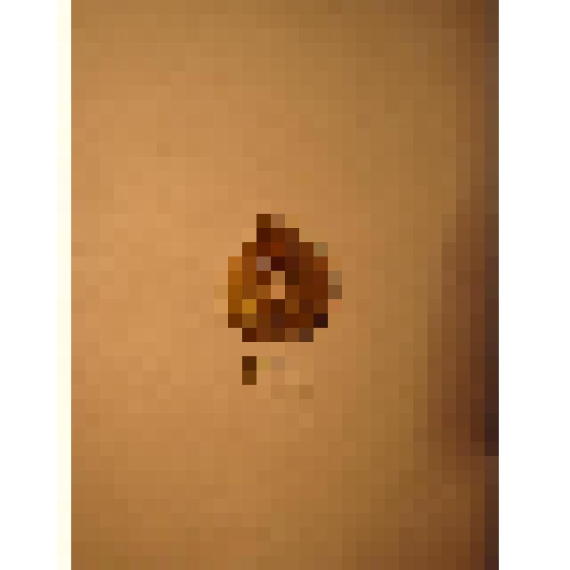 Жетон с изображением Л.Н.Толстого