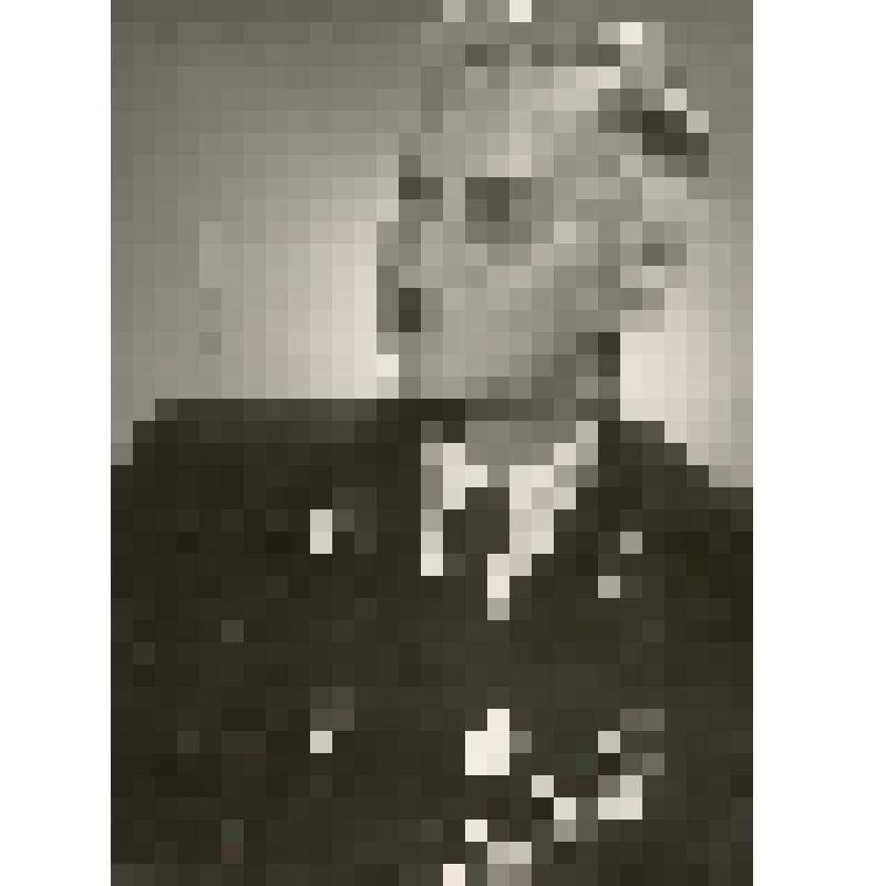 Фотография. Ядров Николай Павлович - матрос гвардейского флотского экипажа, участник Октябрьского вооруженного восстанияв Петрограде, член Военного отдела Наркомата по морским делам в 1918 г