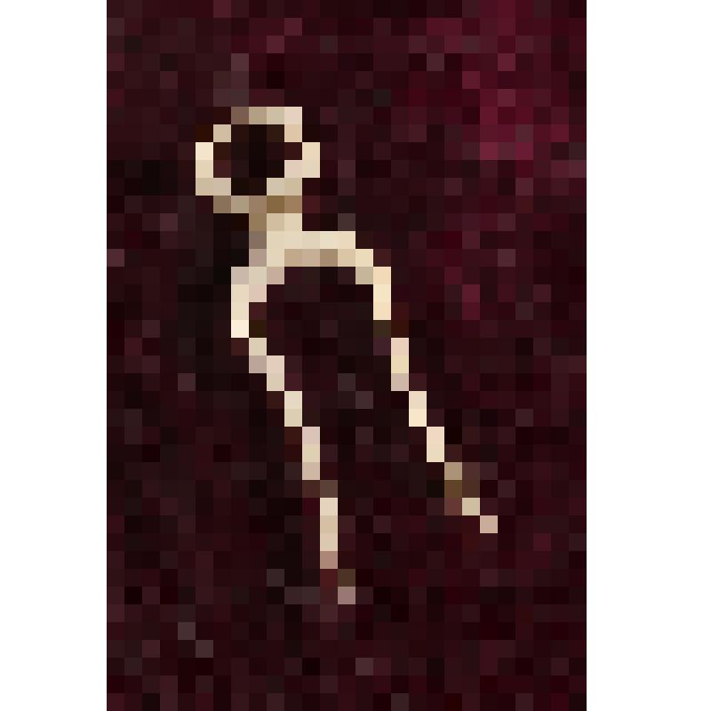 Коробка с костяными бирюльками: клещи