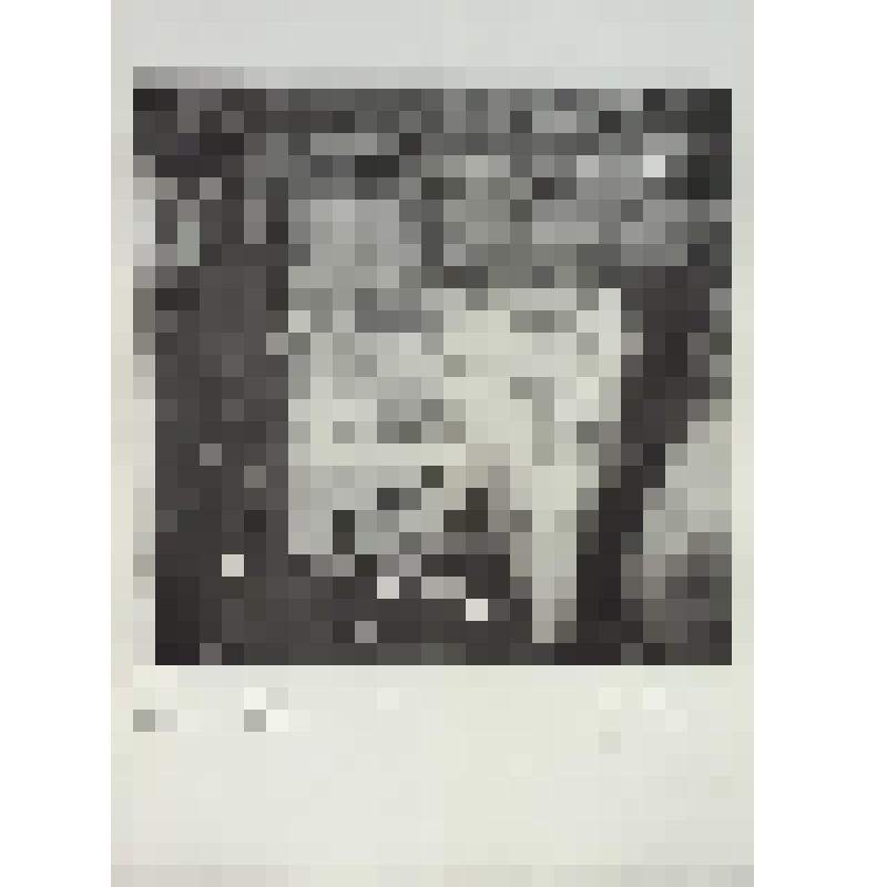 Гостиница "Метрополь". Фотография