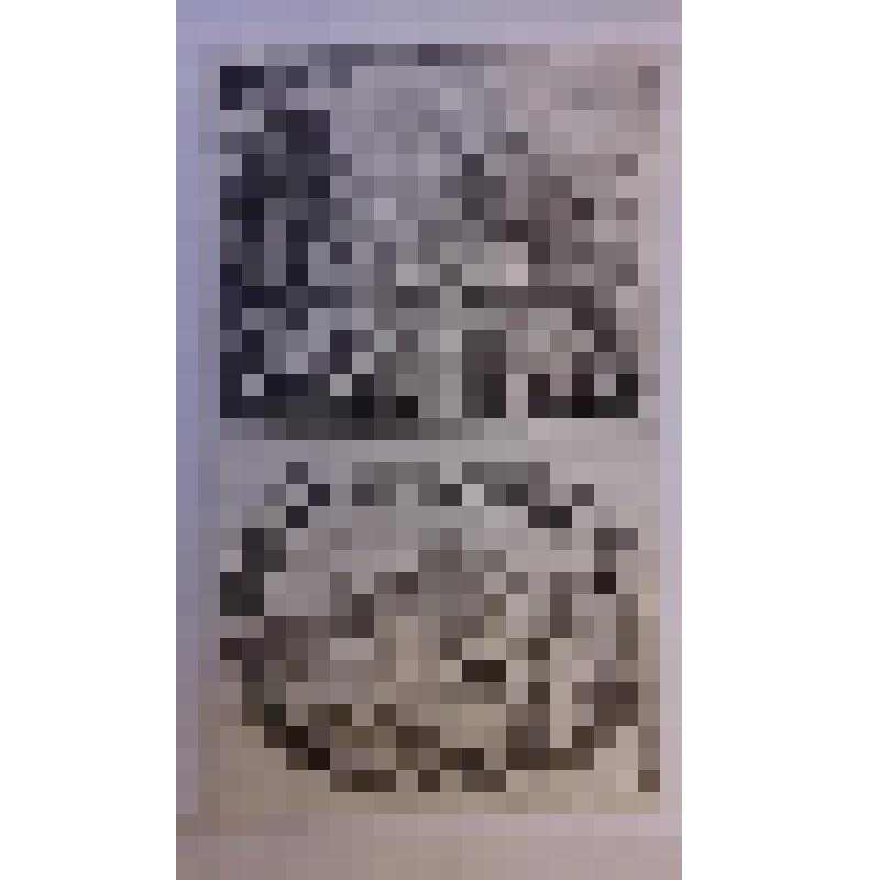 Офорт. Лист 8. Адам в раю дает названия животным. Сотворение Евы. (Быт. 2)