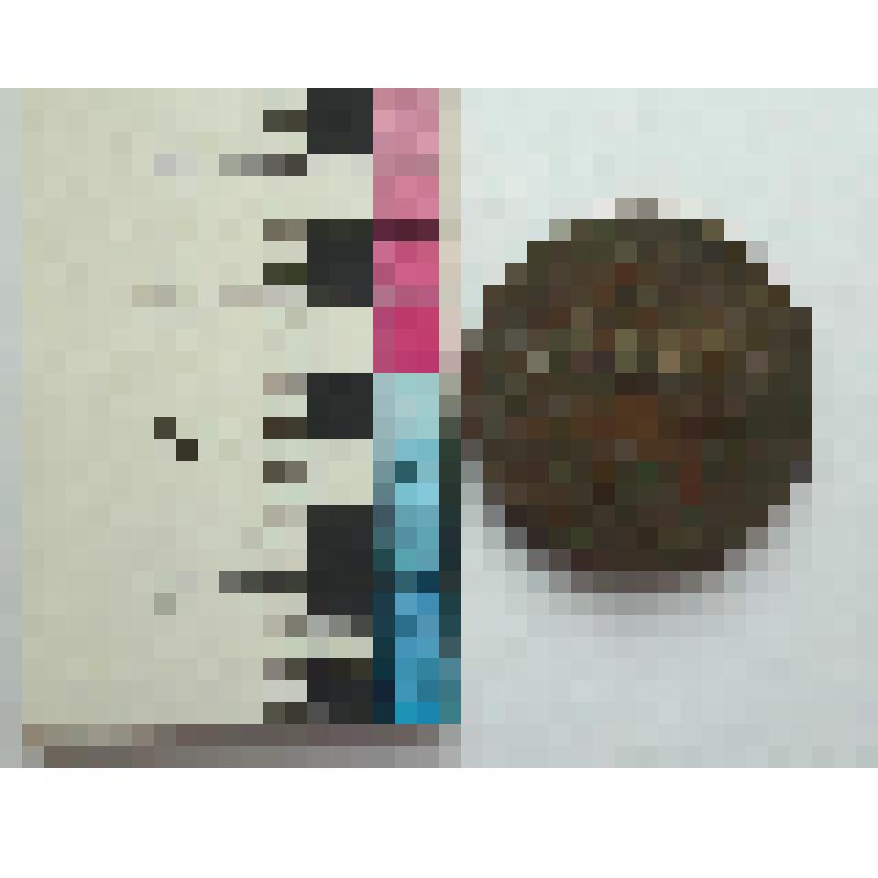 Монета 1 копейка