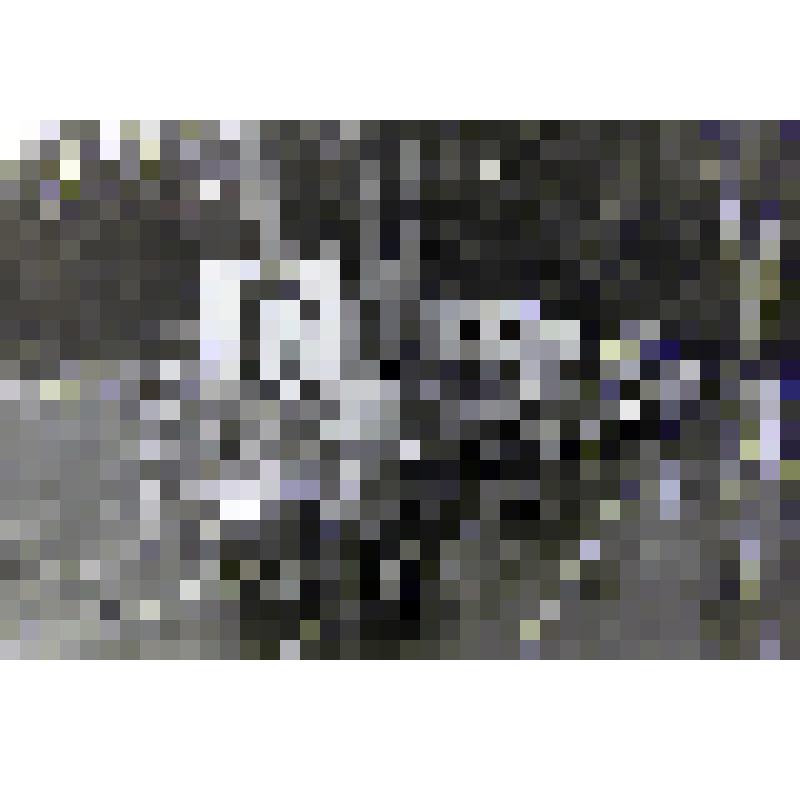 Негатив. Мотоциклы с портретами передовиков производства на празднике 50-летия советского калия