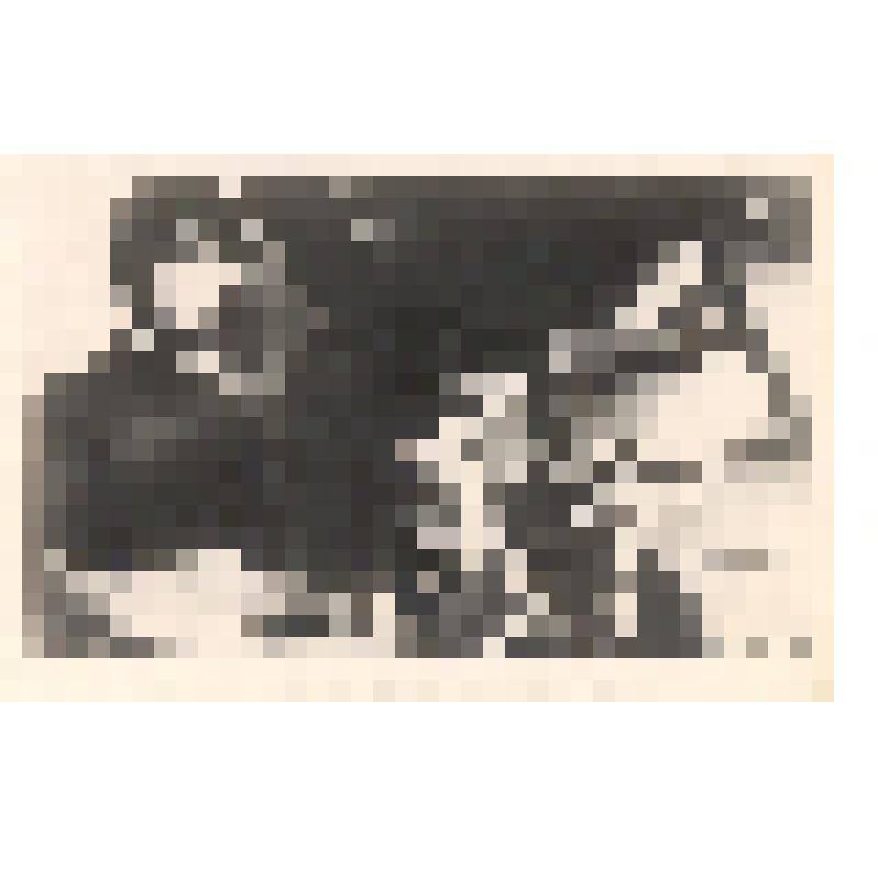 Фотооткрытка. Кадр из фильма "Летят журавли"