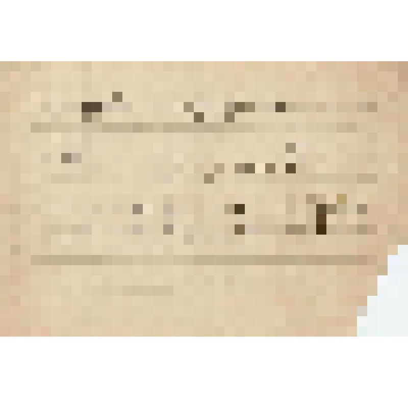 Музыкальная рукопись. Кастальский А.Д. Фрагмент из оперы М. Мусоргского "Борис Годунов". Хор из сцены смерти Бориса