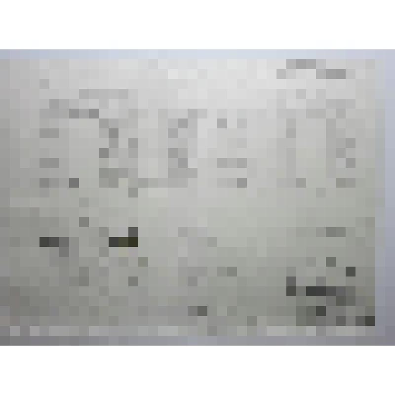 Настоятельские кельи. Борисоглебский монастырь. 1672 г. г.Дмитров. Борисоглебский монастырь. Настоятельские кельи. Дверной проем XVII в. План, фасады, разрезы. Обмер. Схема расположения. Масштаб 1:10, 1:200