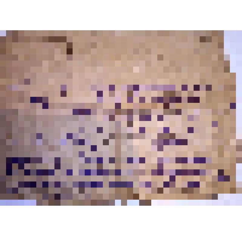 Справка  о  ранении  Иванущенко Дмитрия Илларионовича