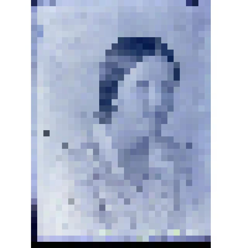 Негатив. Портрет погрудный девушки