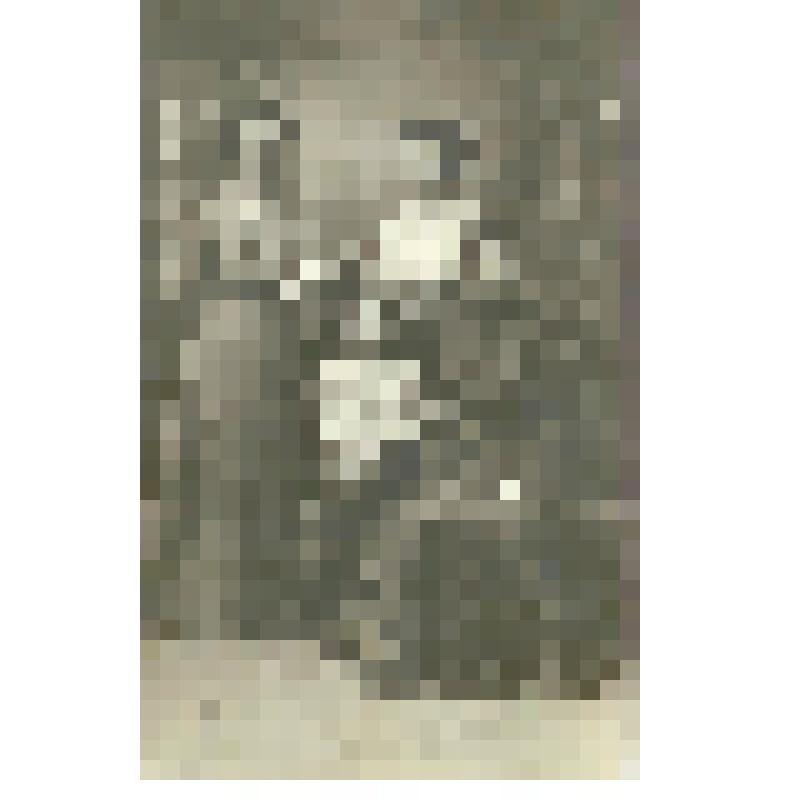 Фотография. Лопухина Фекла Парменовна (1-я слева) с родственниками, из коллекции материалов о Полущеве Федоре Николаевиче, враче-гинекологе, преподавателе СМИ, организаторе роддомов в Сталинском  (Заводском) и Фрунзенском районах г. Саратова, участнике Ве