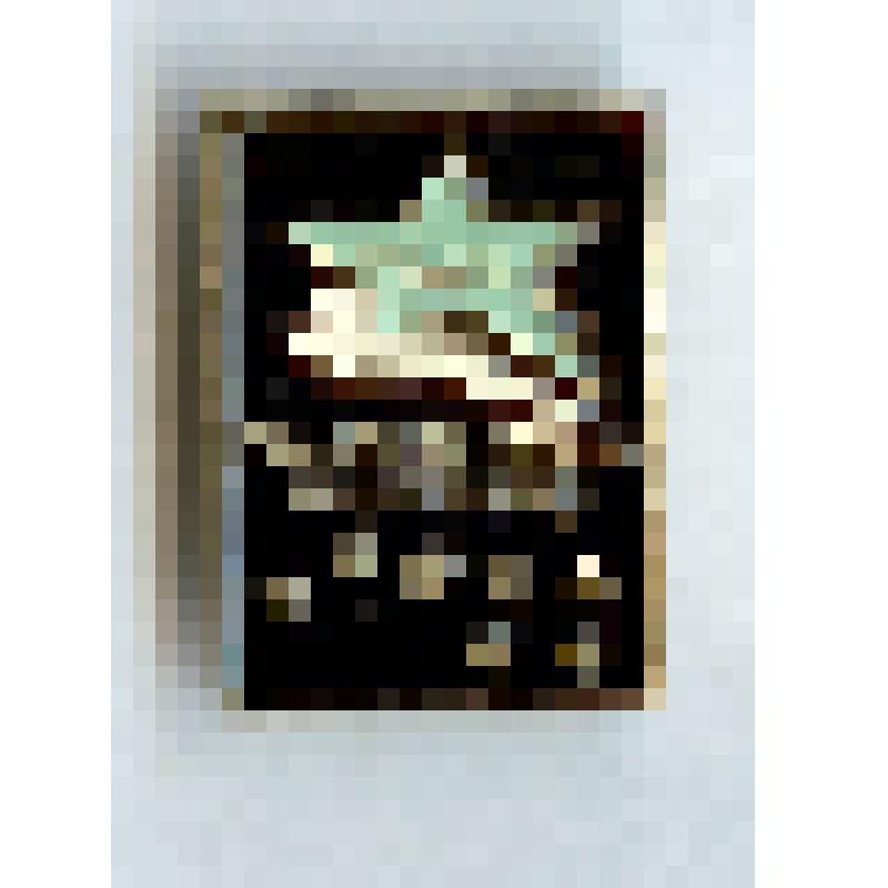 Значок нагрудный «XXXVIII Праздник Севера. Мурманск»