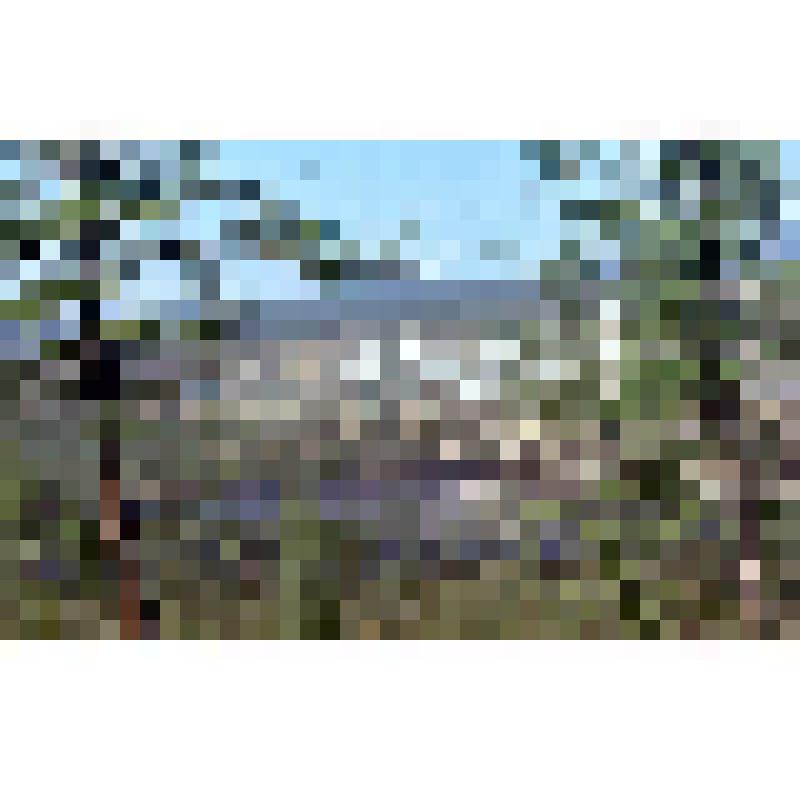 Слайд Поселок Пионерный