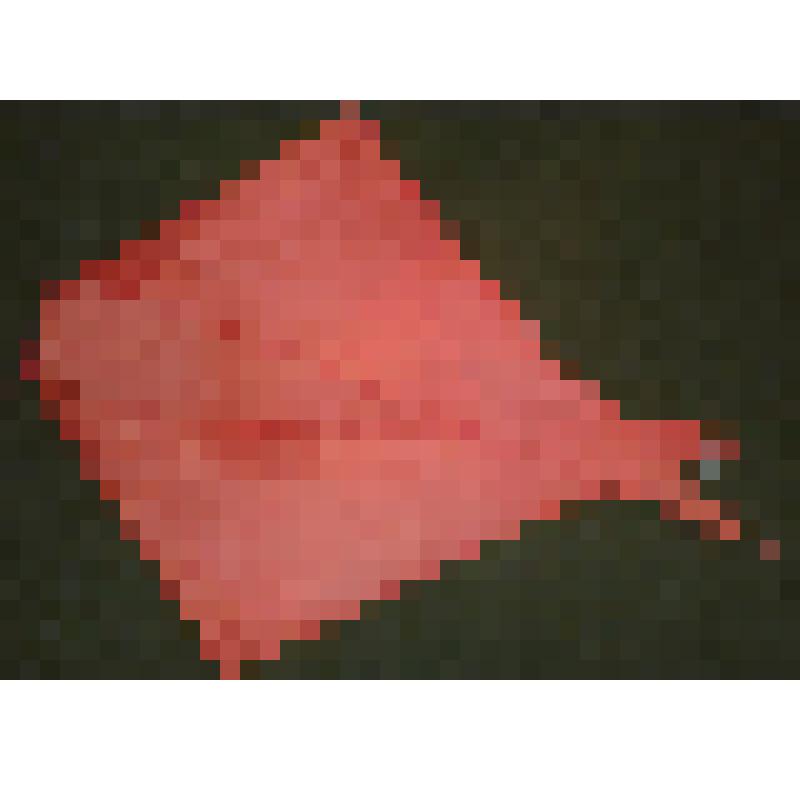 Галстук пионерский