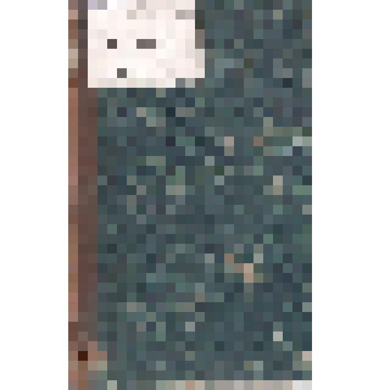 Журнал. Отечественные записки. Журнал литературный, политический и ученый. Т. 223. № 11. СПб.: В типографии А.А. Краевского, 1875