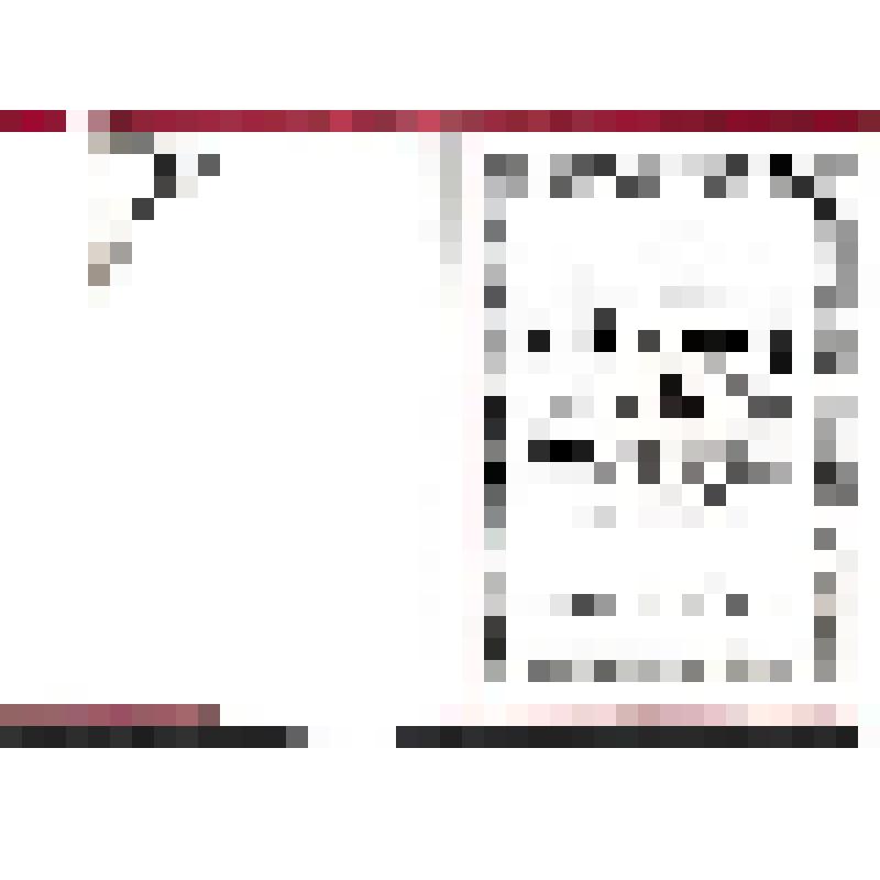 Приветственный адрес Президенту, Главе Правительства Республики Тыва Ш.Д.Ооржаку от министра полковника милиции В.И.Лескяка