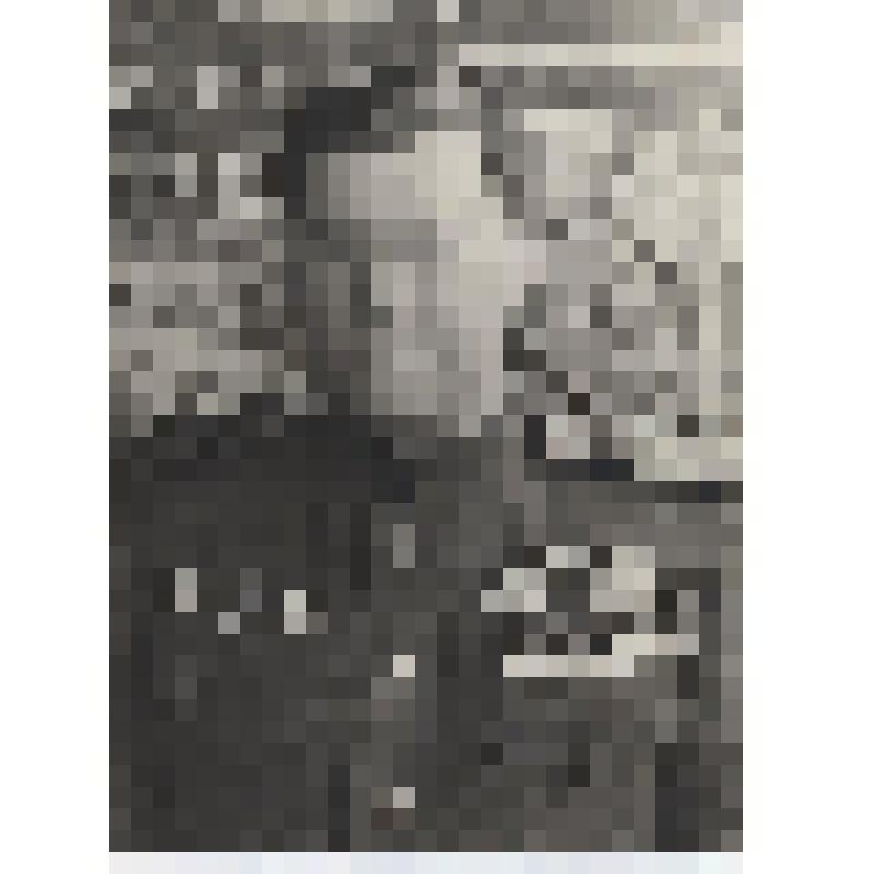 Фотография. Андреев Аркадий Григорьевич,  полковник  в период ВОВ