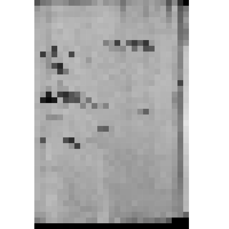 КОПИЯ ОТНОШЕНИЯ