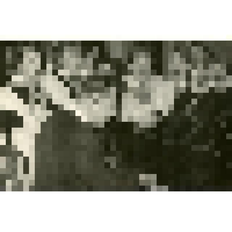 Фотография ч/б. Выступление учащихся школы-интерната на творческом вечере А.Ф. Крылова