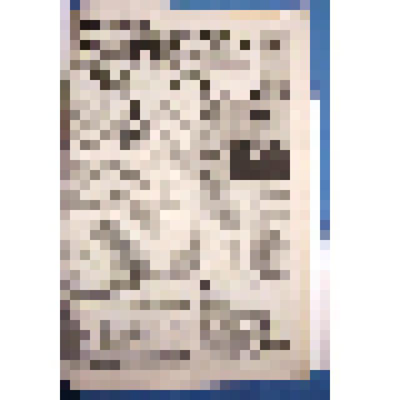 Газета «Беловские зори» №71 (8755), Пятница, 7 ноября 2014 года. Газета Беловского района Курской области