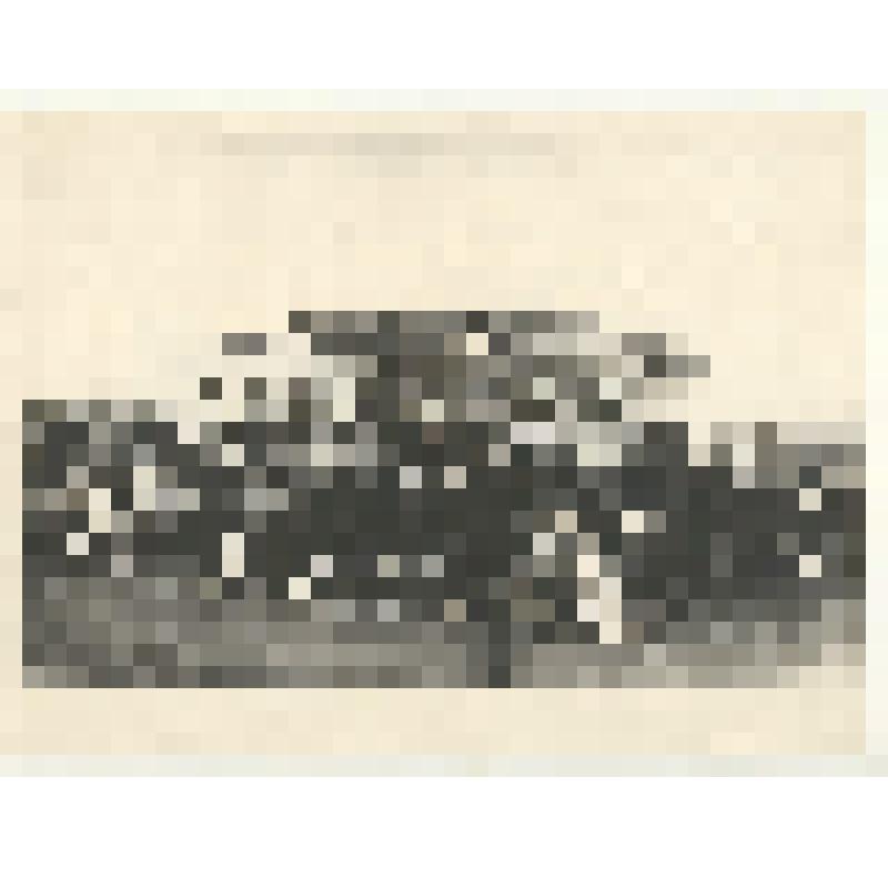 Фотография: Новик Н.Е., колхозник колхоза "Новый быт", организовал Красный обоз с хлебом для сдачи государству. Копия