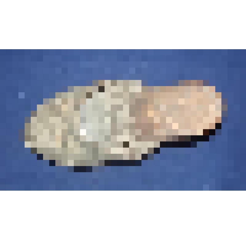 Туфля женская летняя