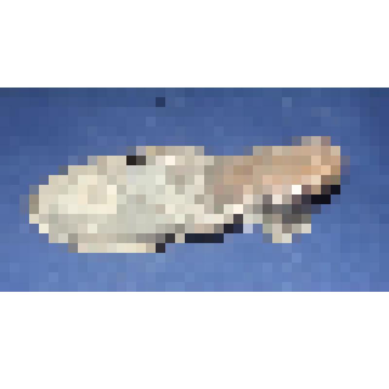 Туфля женская летняя