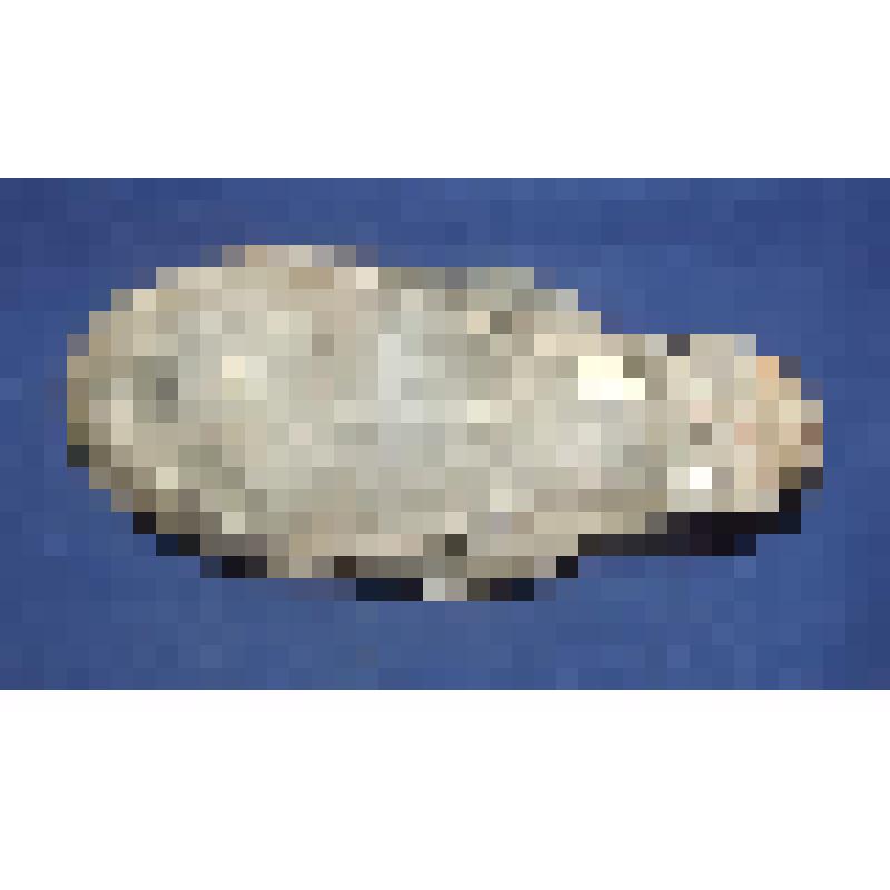 Туфля женская летняя