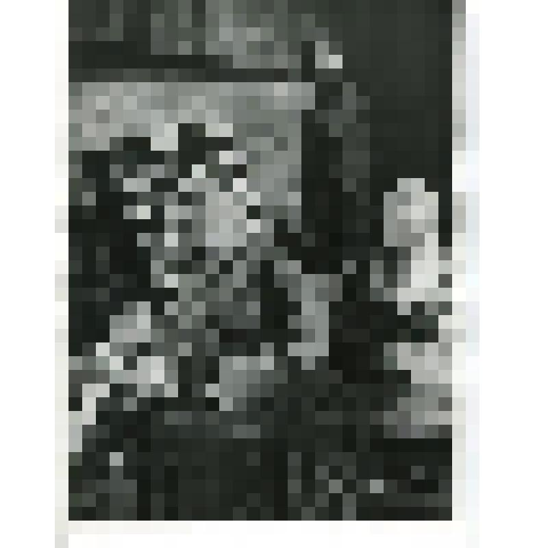 Фотография. Сцена. Люська - А. Комолова - сидит, 3/4 влево, поколенно, руки на коленях, в полосатой арестантской одежде; Дервоед - В. Свигачев, Буштец - В. Синельников, Седая женщина - А. Патрушева. "Рядовые" (реж. В. Антонов, худ. Г. Макаров). Великие Лу