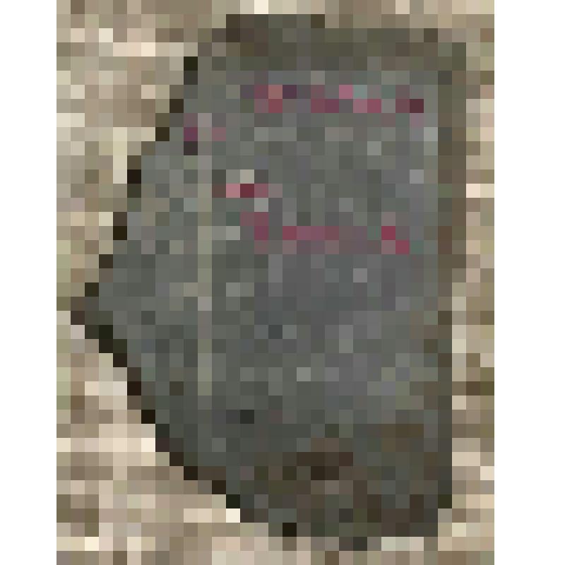 Тесло (фрагмент)