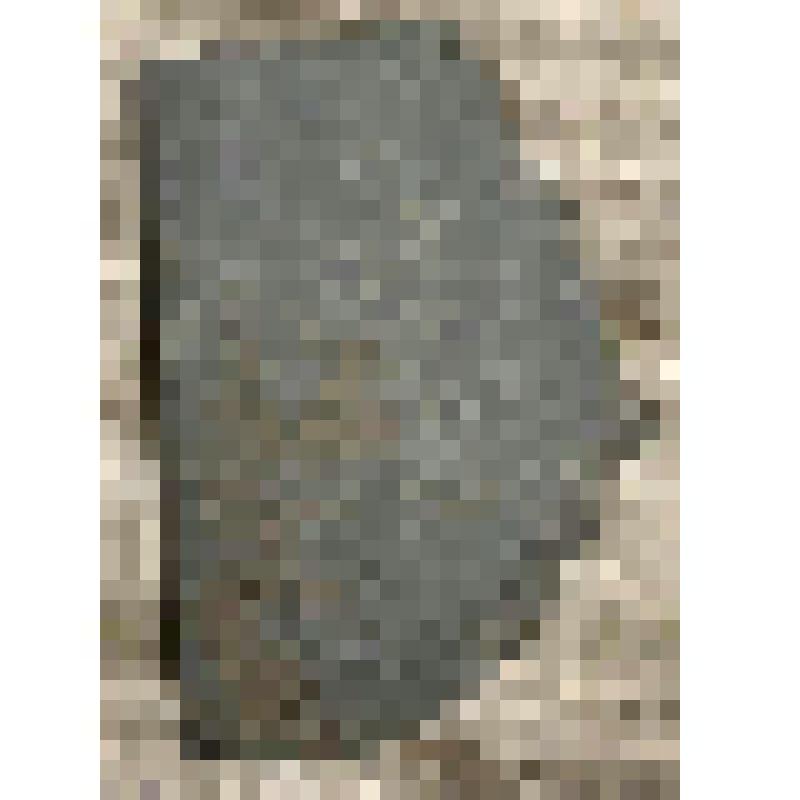 Тесло (фрагмент)