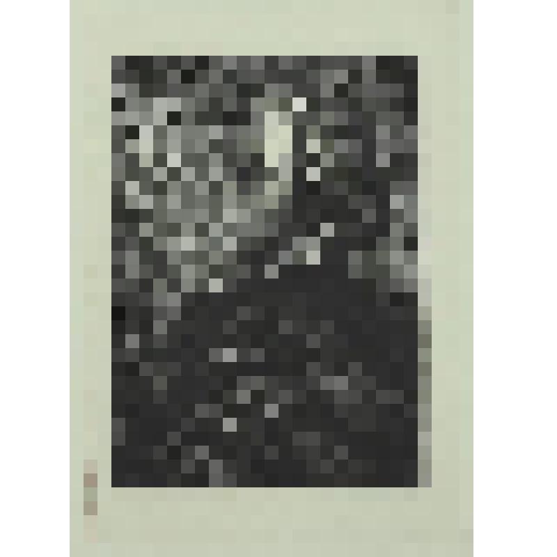 Портрет Вагнера. гравюра