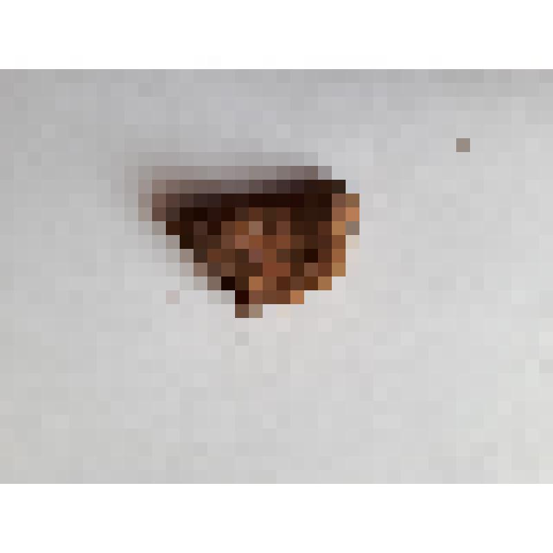 Фрагмент керамики