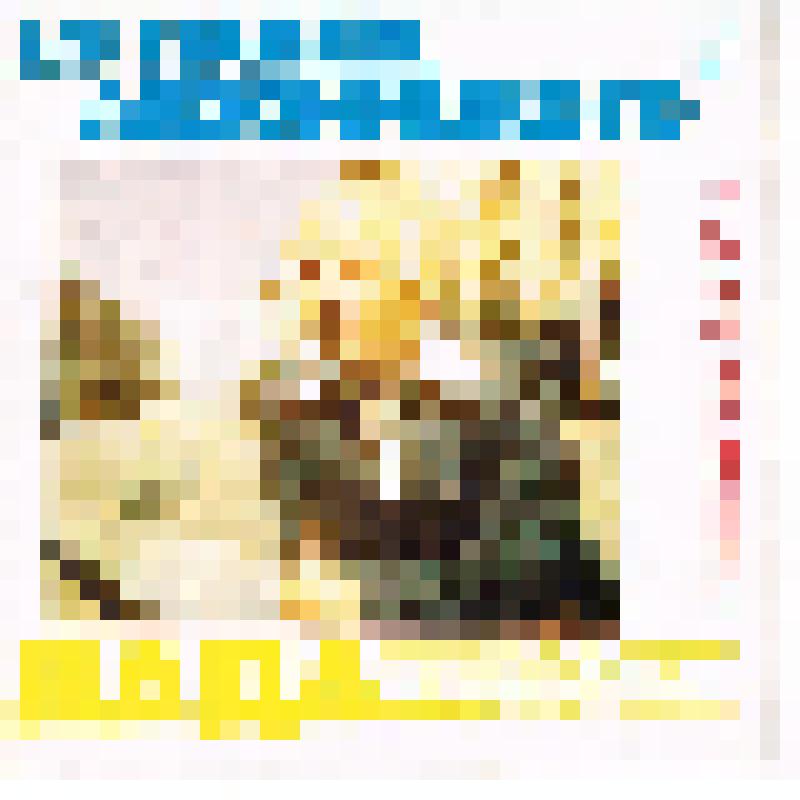 Песни Павла Аедоницкого