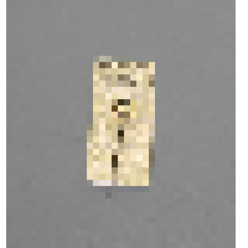 Значок "Здравствуй, Венера!"