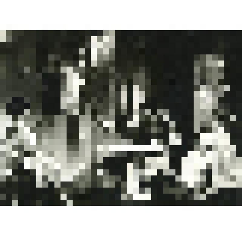 Фотография. Сцена из спектакля. "Ромул Великий" (Постановка  Пансо В. Художник Кюла М.). Эстония, Таллин. Эстонский государственный академический театр драмы им. В.Кингисеппа