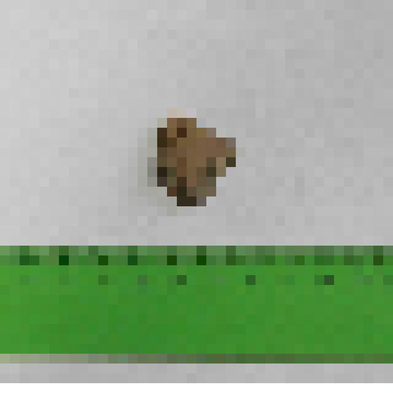 Коллекция из раскопок городища Сартым –урий 18. Фрагменты керамики, отщепы, камни, шлак