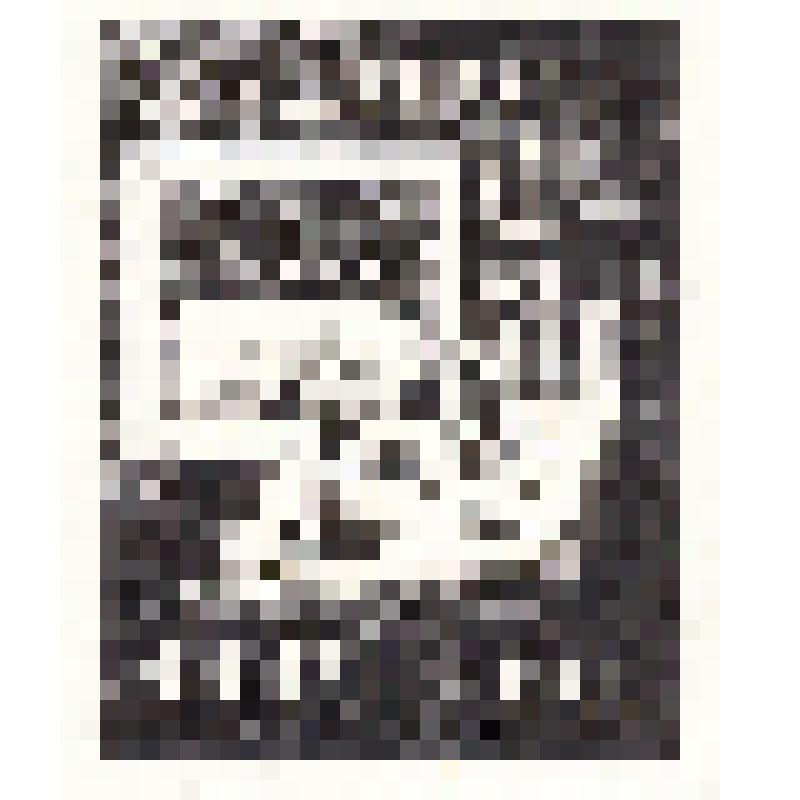 Экслибрис "Ex Libris M. Panow". Автоэкслибрис