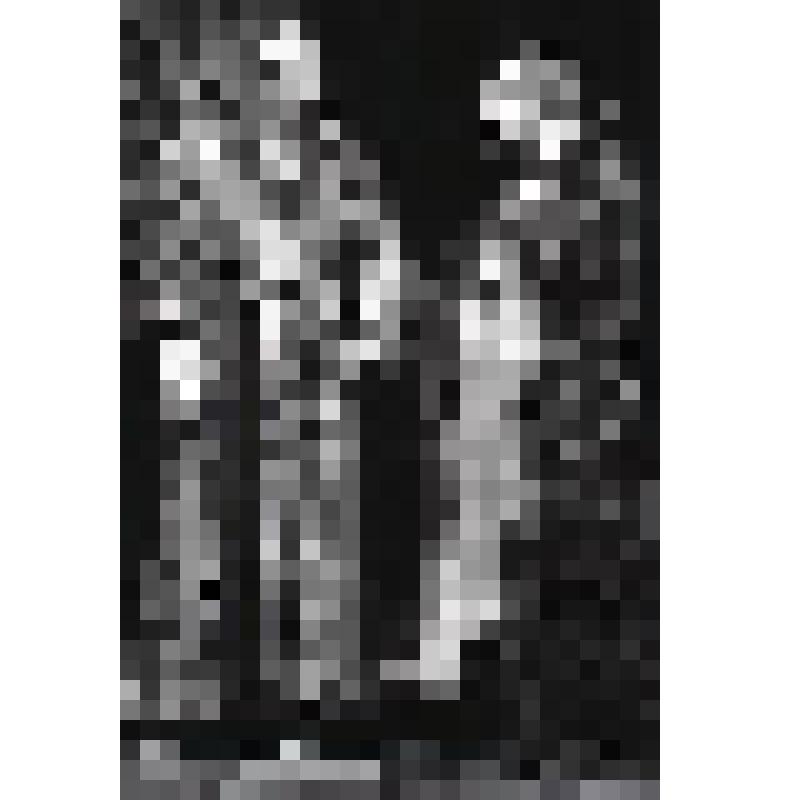 Негатив черно-белый. Борис Годунов - О.Н.Ефремов;  Шуйский - А.Д.Жарков. "Борис Годунов" (1994 г.)