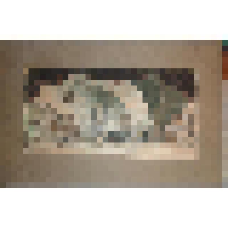 Эскиз декорации. Комната Шуйского. "Смерть Иоанна Грозного". Санкт-Петербург, Александринский театр