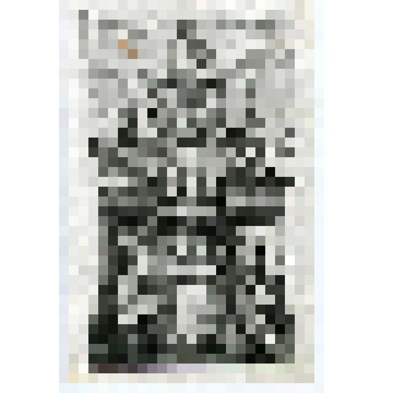 Офорт. Лист 145. Заставка к Книгам Нового Завета