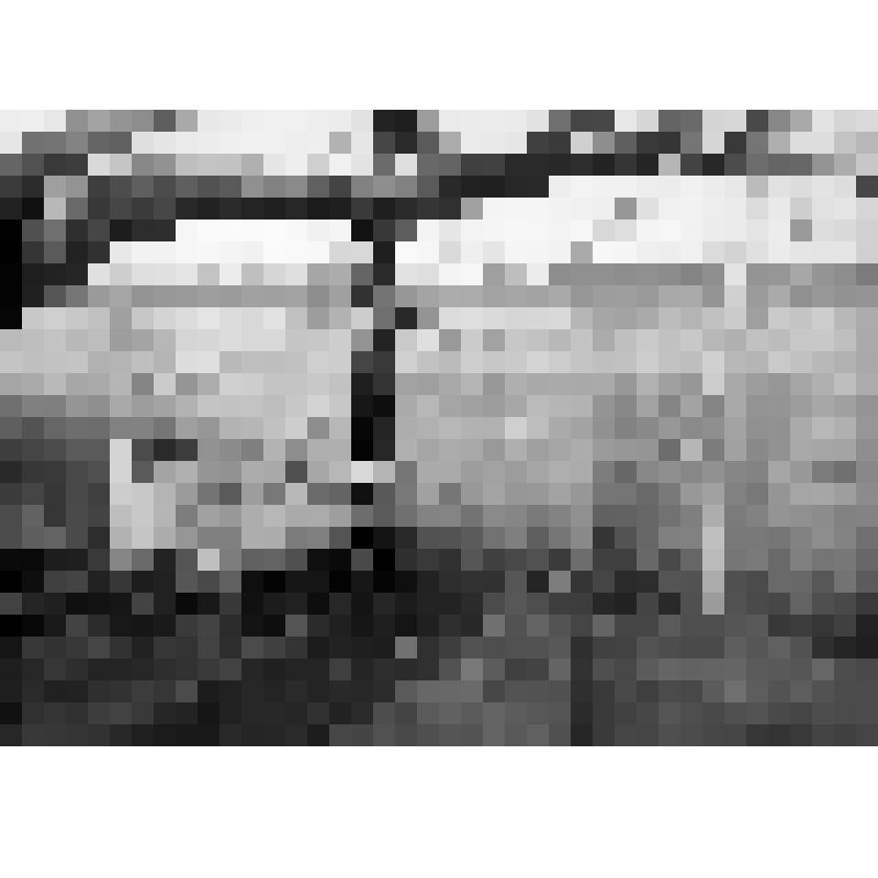 Фото ч/б. "Скамья Онегина. Михайловское". Из серии "Пушкинские места"