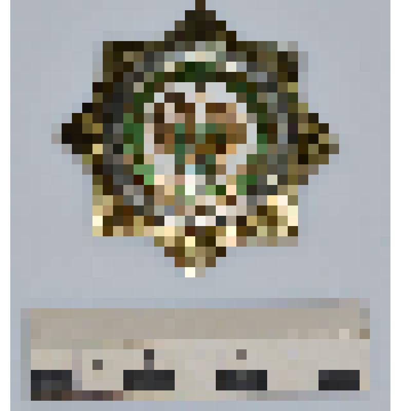 Знак  "За развитие таможенной службы" Чуба В.Ф